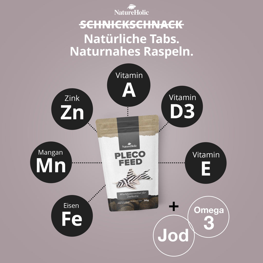 NatureHolic Welsfeed - Welsfutter - Welstabs - 30 g