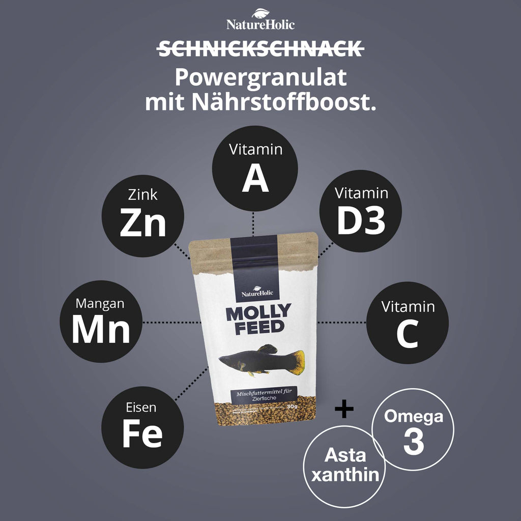 NatureHolic MollyFeed - Molly Futter - Fischfutter 30g