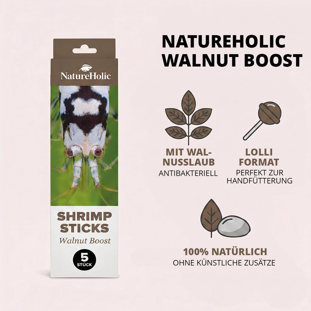 NatureHolic - Garnelen Lollies „Walnut Boost“ - 5 Lollis fürs Aquarium