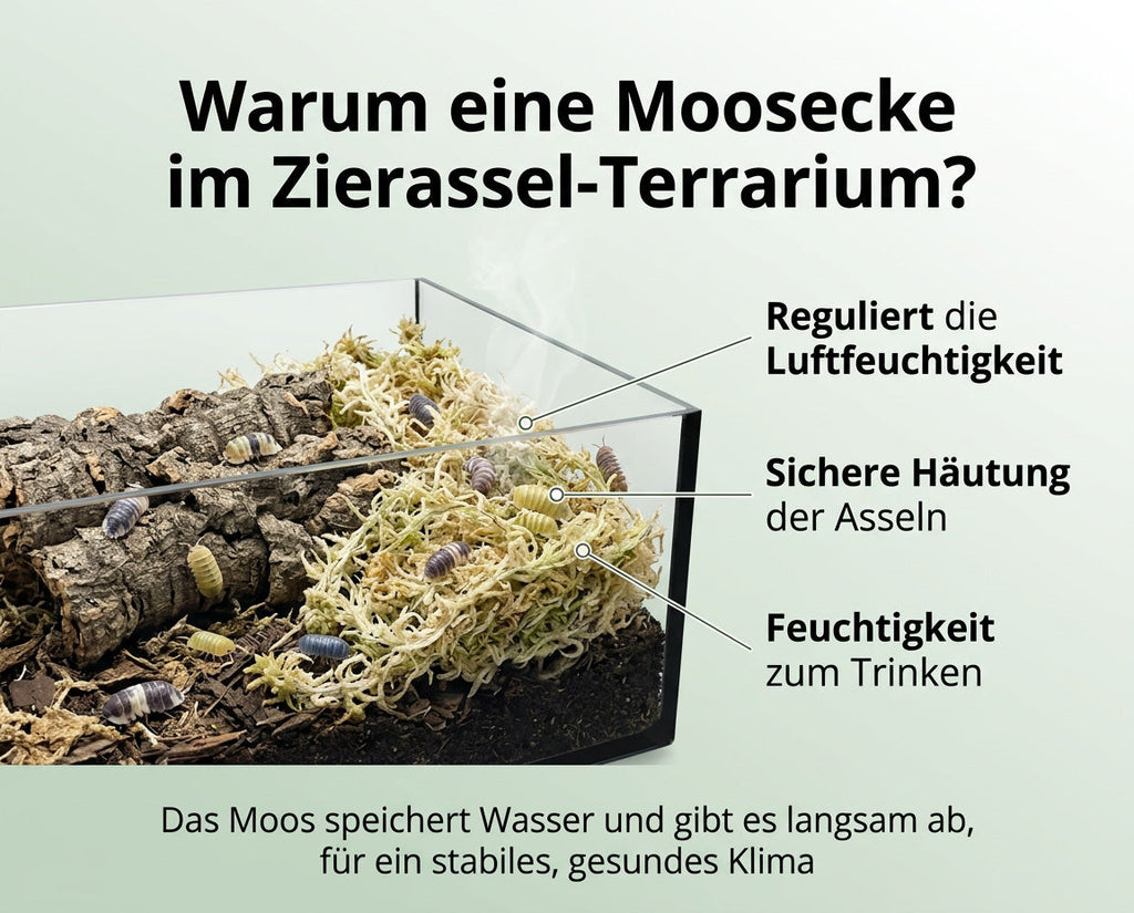 NatureHolic - AsselMoss, für  Moosecken im Asselterrarium