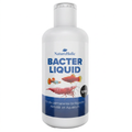 NatureHolic - Bacter Liquid - 125ml - Filterstarterbakterien