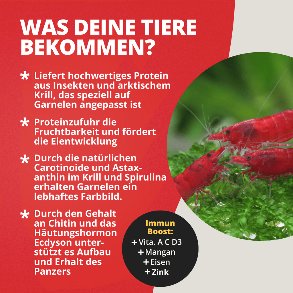 Proteinfeed Probepackung
