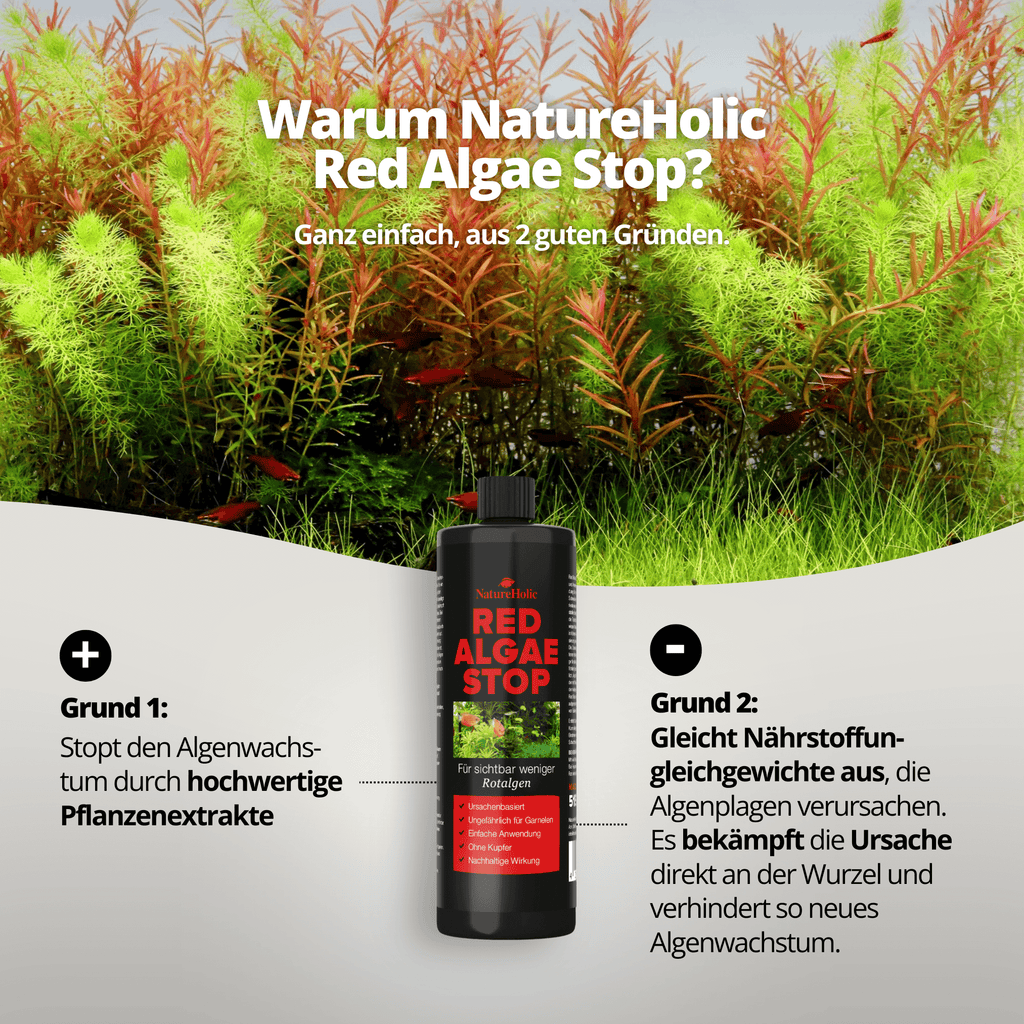 NatureHolic Red Algae Stop - 250ml Rotalgen Entferner